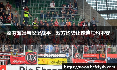 霍芬海姆与汉堡战平，双方均势让球迷焦灼不安