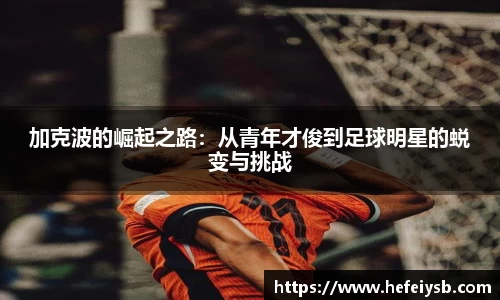 bsports必一体育